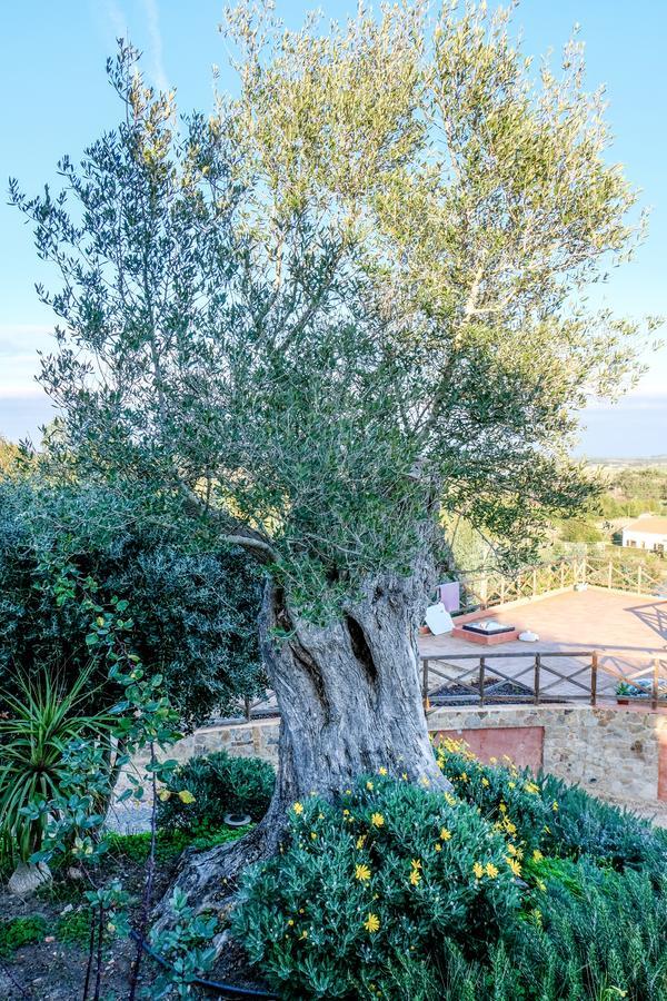 Maison d'hôtes Monte Soalheiro à Zambujeira do Mar Extérieur photo