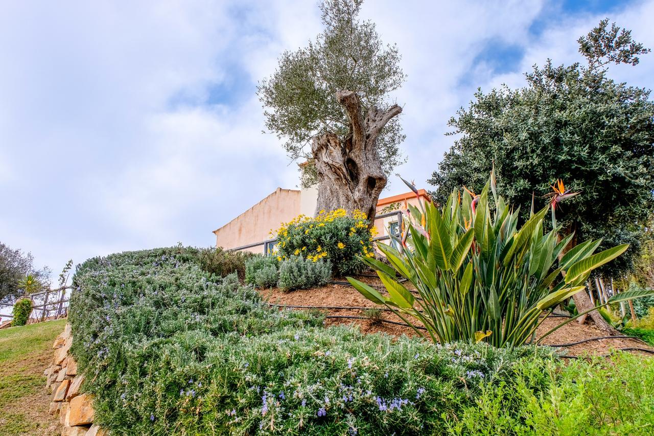 Maison d'hôtes Monte Soalheiro à Zambujeira do Mar Extérieur photo